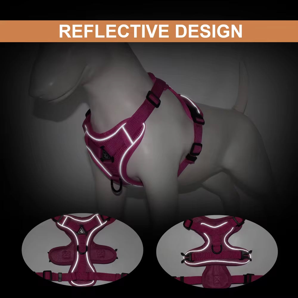 Premium Reflective Dog & Cat Harness and Leash Set - Comfortable Mesh Nylon Vest for Small to Medium Breeds, Perfect for Bulldogs and Pugs