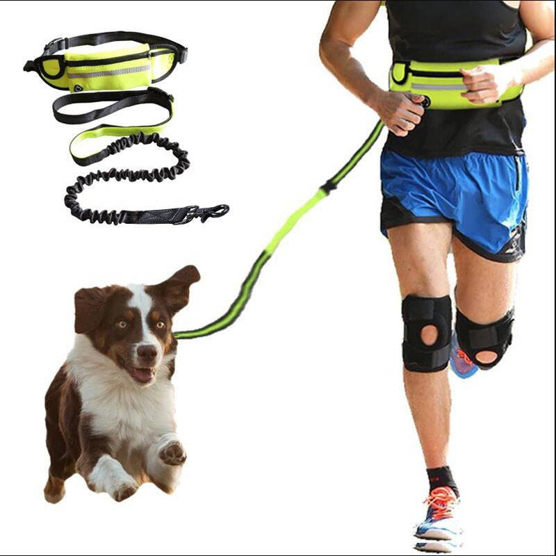Ultimate Hands-Free Dog Leash with Shock Absorbing Bungee - Perfect for Large Dogs Up to 180lbs, Includes Phone Pocket & Water Bottle Holder!