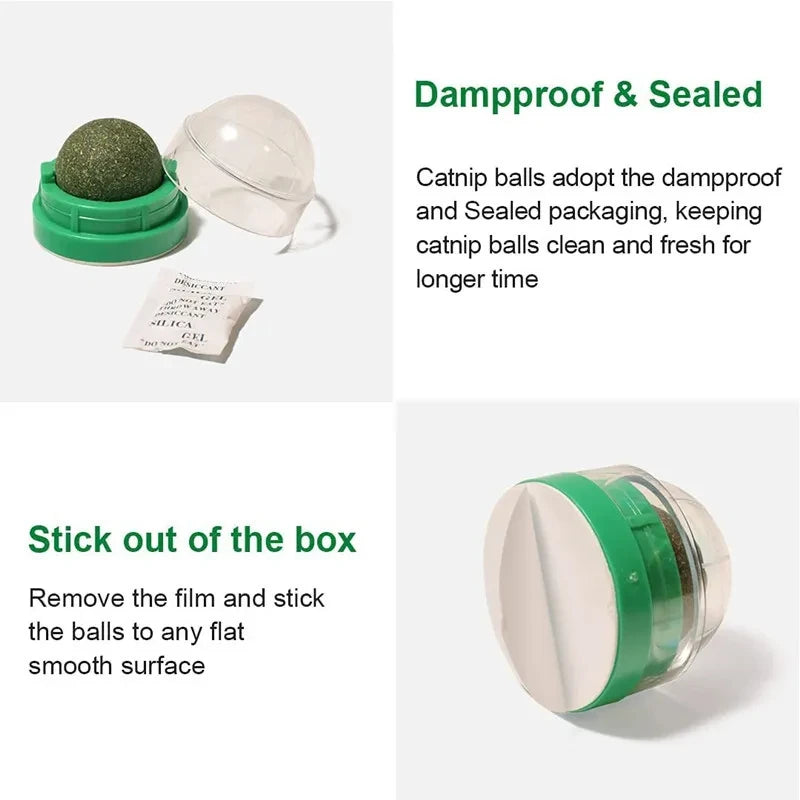 Natural Catnip Wall Ball Toy - Healthy Scratchers & Treats for Happy Cats!