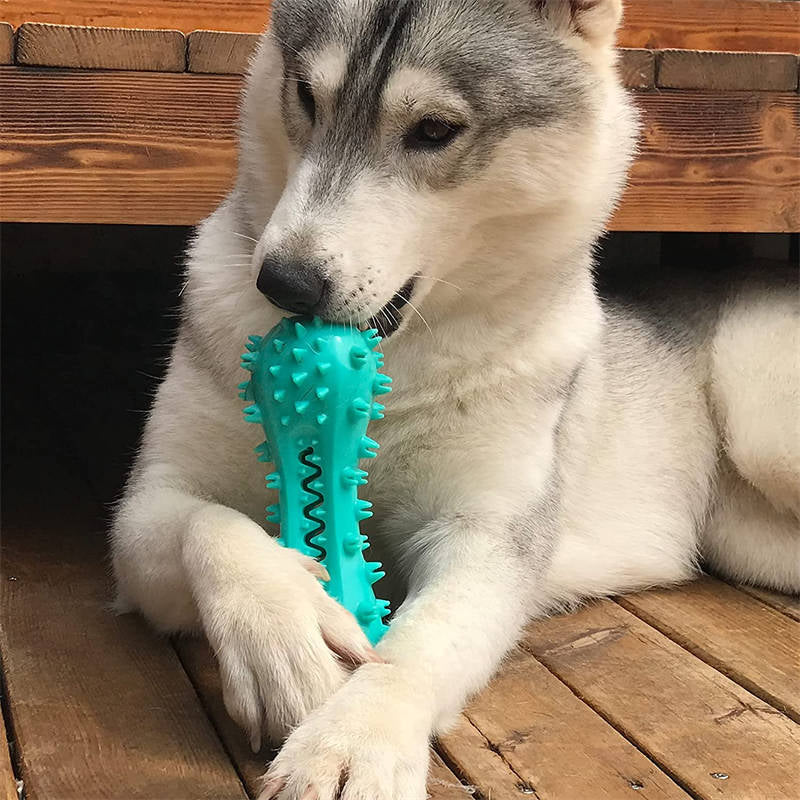 Durable Rubber Chew Toys for Aggressive Dogs - Molar Stick for Healthy Teeth and Gums