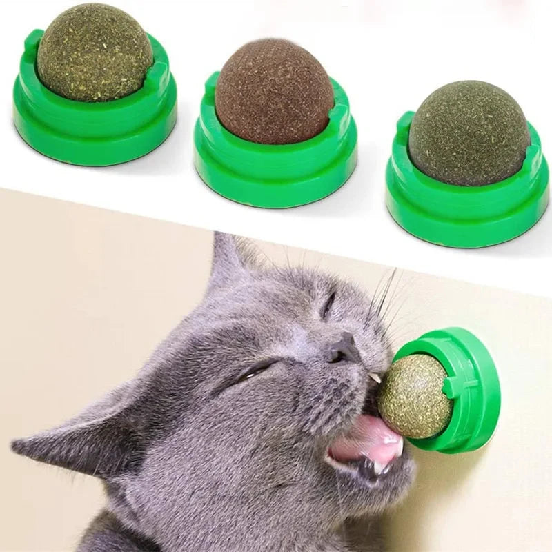 Natural Catnip Wall Ball Toy - Healthy Scratchers & Treats for Happy Cats!