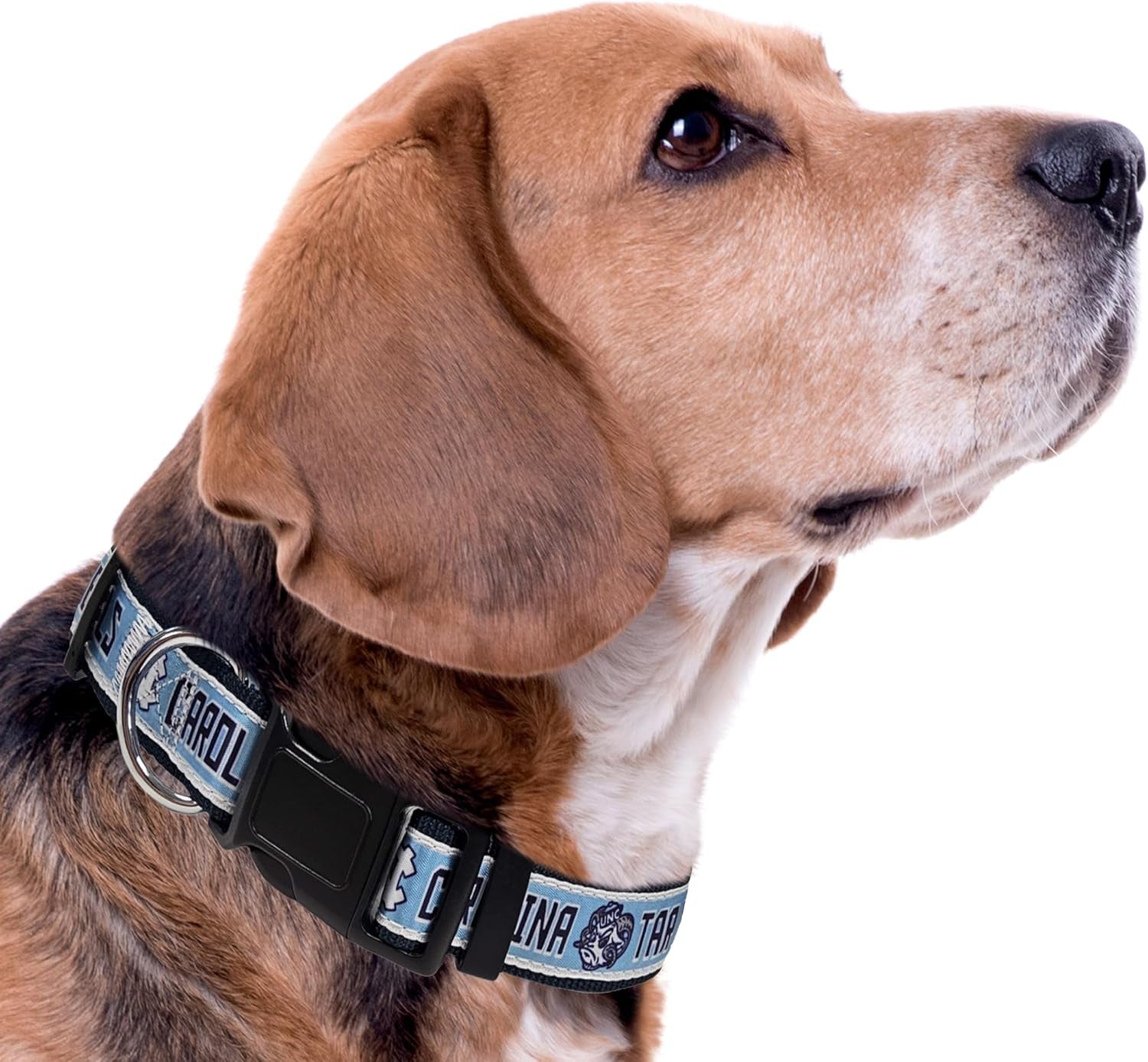 Collegiate PET Collar NEW VERSION Mississippi Ole Miss Rebels Dog Collar, Size Small. Best Sports Team Color for Dogs & Cats. a Shiny & Colorful Dog & Cat Collar Licensed by the NCAA