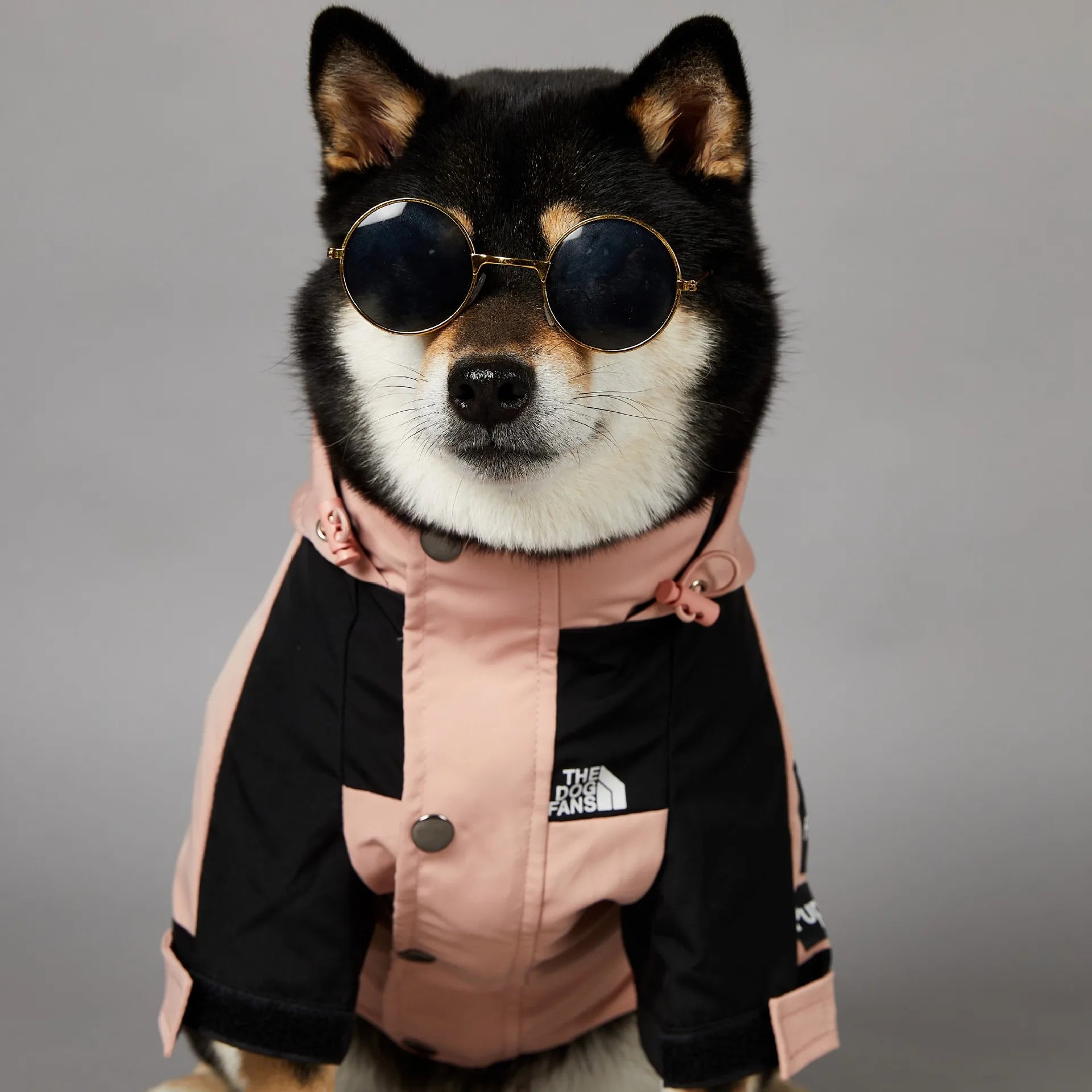 Stylish Waterproof Dog Raincoat - Windbreaker Jacket for Small & Large Dogs, Perfect for French Bulldogs and Chihuahuas!
