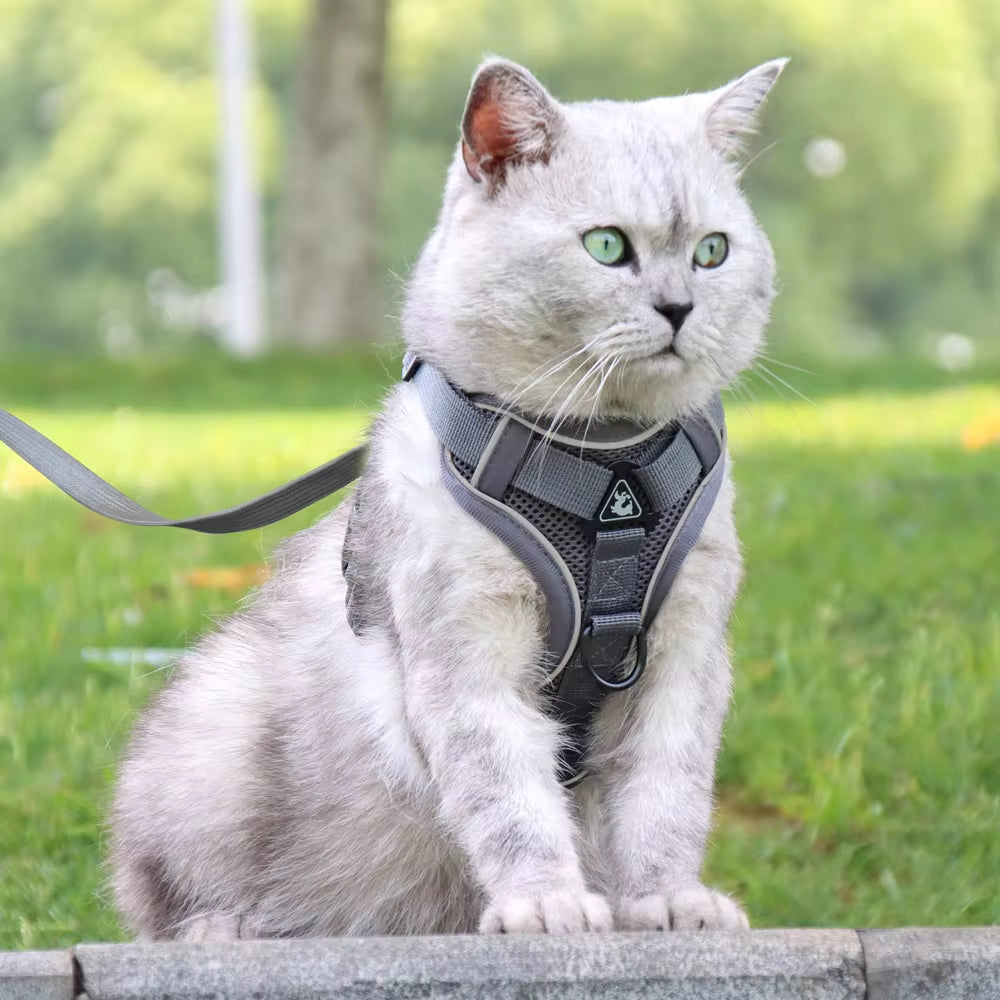 Premium Reflective Dog & Cat Harness and Leash Set - Comfortable Mesh Nylon Vest for Small to Medium Breeds, Perfect for Bulldogs and Pugs