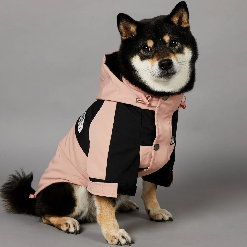 Stylish Waterproof Dog Raincoat - Windbreaker Jacket for Small & Large Dogs, Perfect for French Bulldogs and Chihuahuas!
