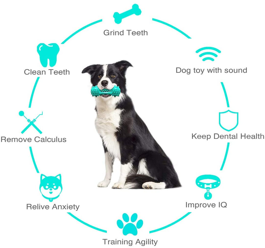 Durable Rubber Chew Toys for Aggressive Dogs - Molar Stick for Healthy Teeth and Gums
