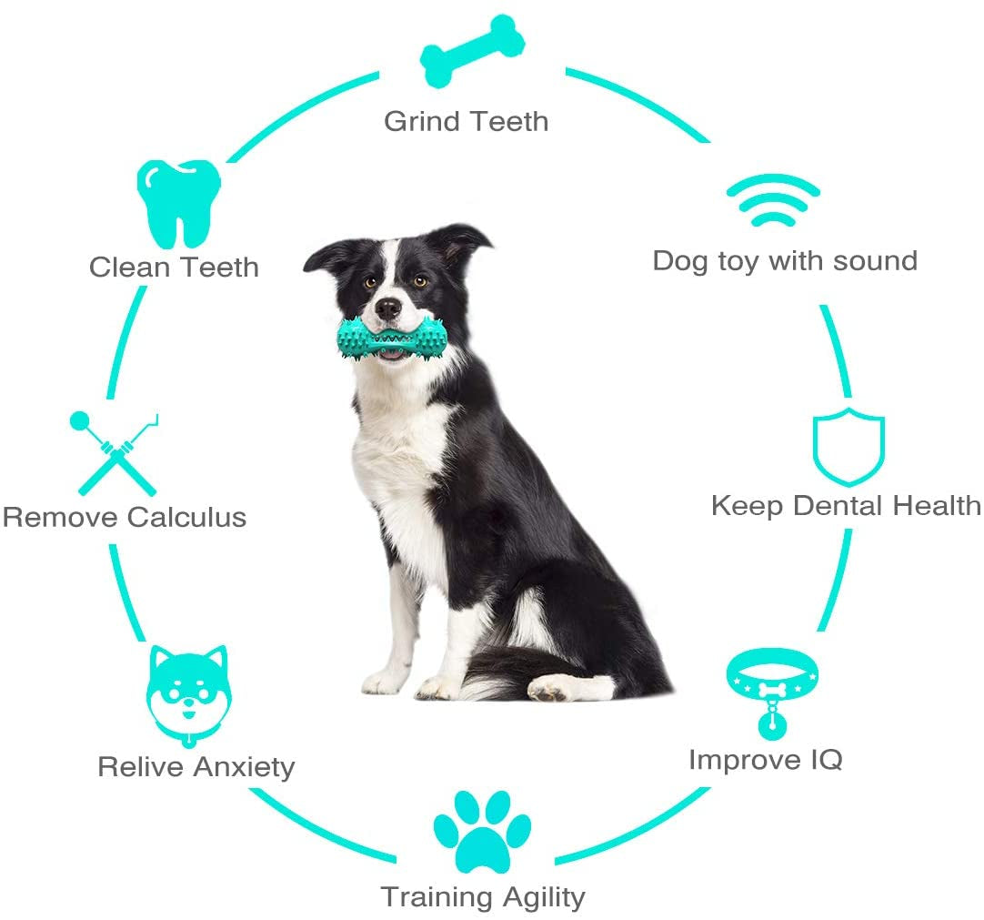 Durable Rubber Chew Toys for Aggressive Dogs - Molar Stick for Healthy Teeth and Gums