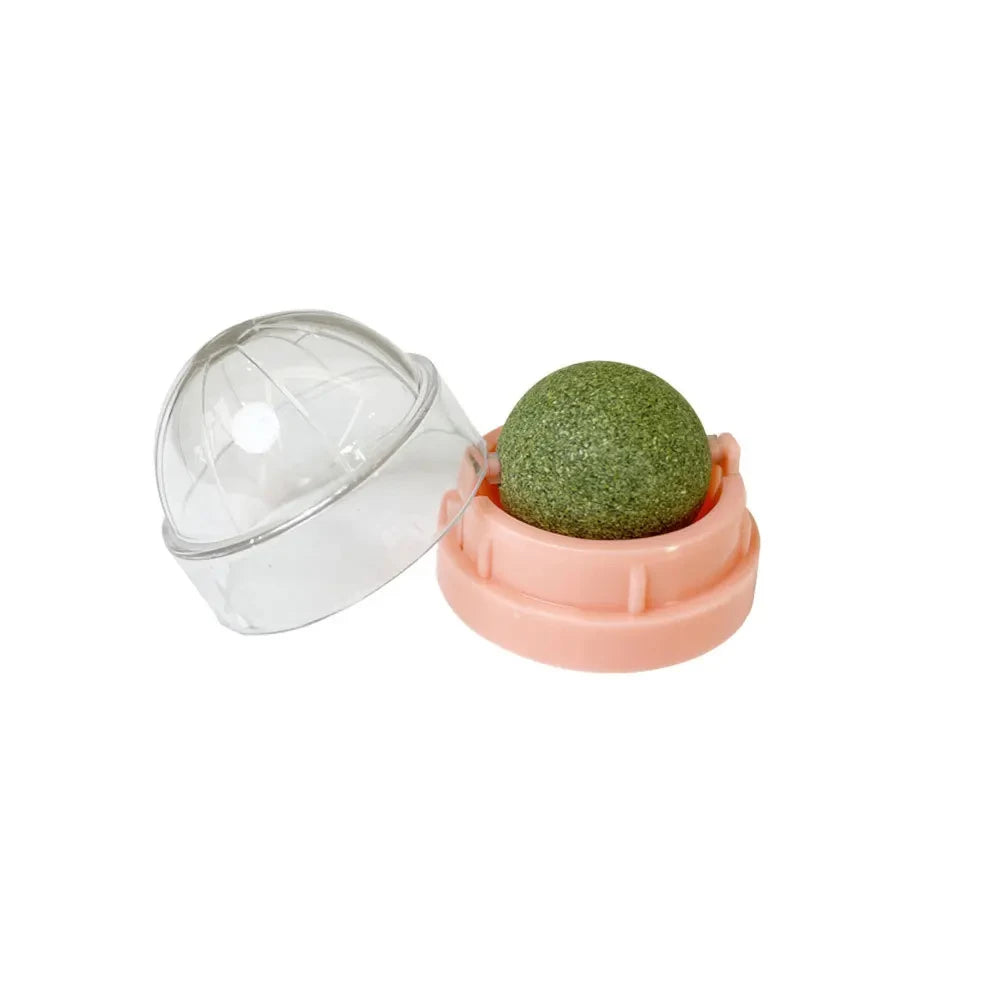 Natural Catnip Wall Ball Toy - Healthy Scratchers & Treats for Happy Cats!