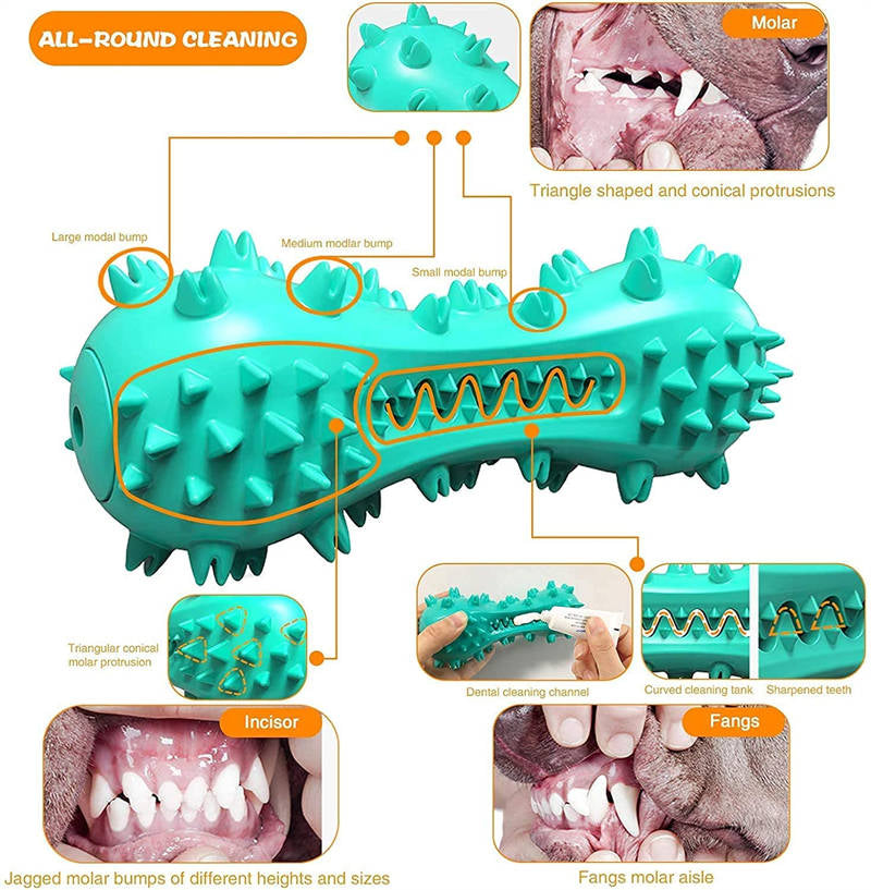 Durable Rubber Chew Toys for Aggressive Dogs - Molar Stick for Healthy Teeth and Gums